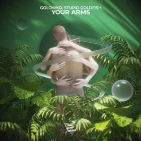GOLOWKO & STUPID GOLDFISH - YOUR ARMS